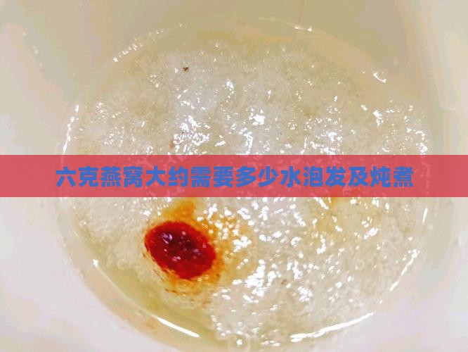 六克燕窝大约需要多少水泡发及炖煮