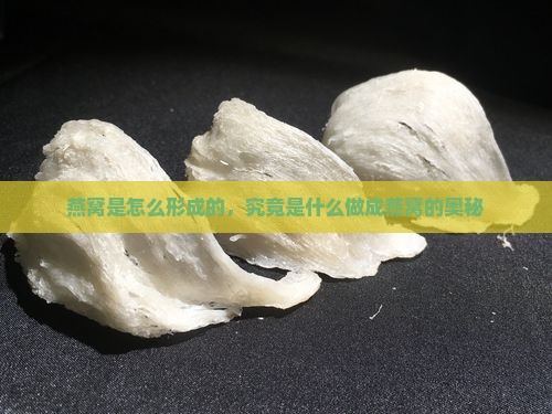 燕窝是怎么形成的，究竟是什么做成燕窝的奥秘