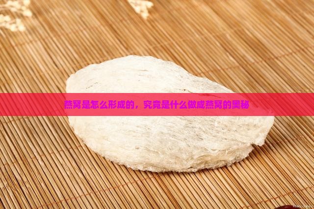 燕窝是怎么形成的，究竟是什么做成燕窝的奥秘