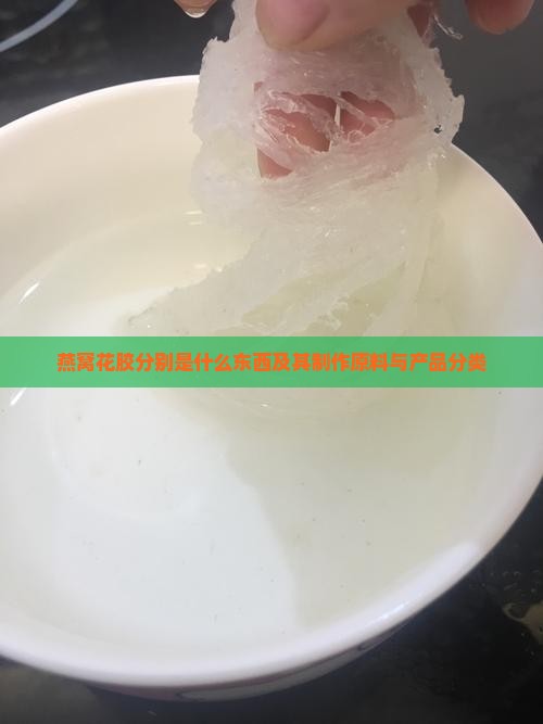 燕窝花胶分别是什么东西及其制作原料与产品分类