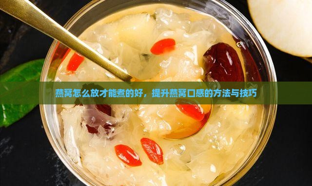 燕窝怎么放才能煮的好，提升燕窝口感的方法与技巧