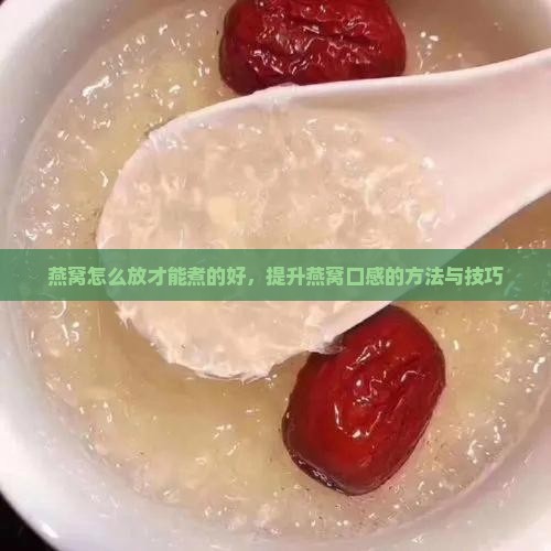 燕窝怎么放才能煮的好，提升燕窝口感的方法与技巧