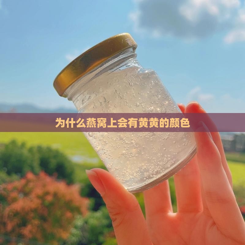 为什么燕窝上会有黄黄的颜色