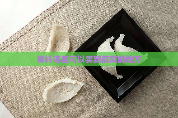 狮岭哪里可以买到燕窝的地方