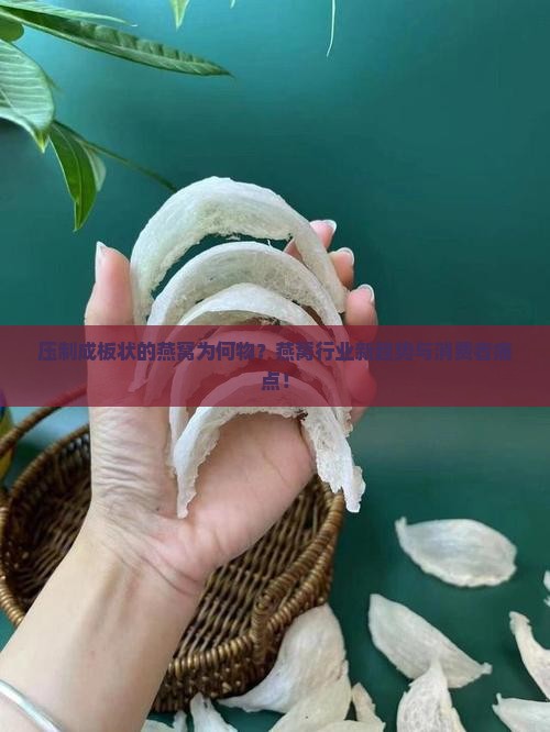 压制成板状的燕窝为何物？燕窝行业新趋势与消费者痛点！