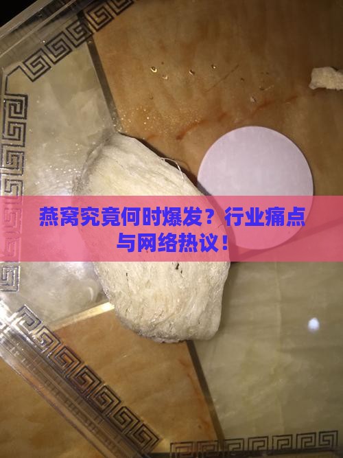 燕窝究竟何时爆发？行业痛点与网络热议！