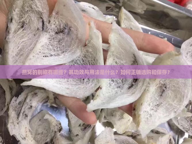 燕窝的别称有哪些？其功效与用法是什么？如何正确选购和保存？