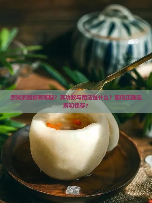 燕窝的别称有哪些？其功效与用法是什么？如何正确选购和保存？