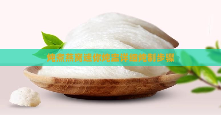 炖煮燕窝迷你炖盅详细炖制步骤