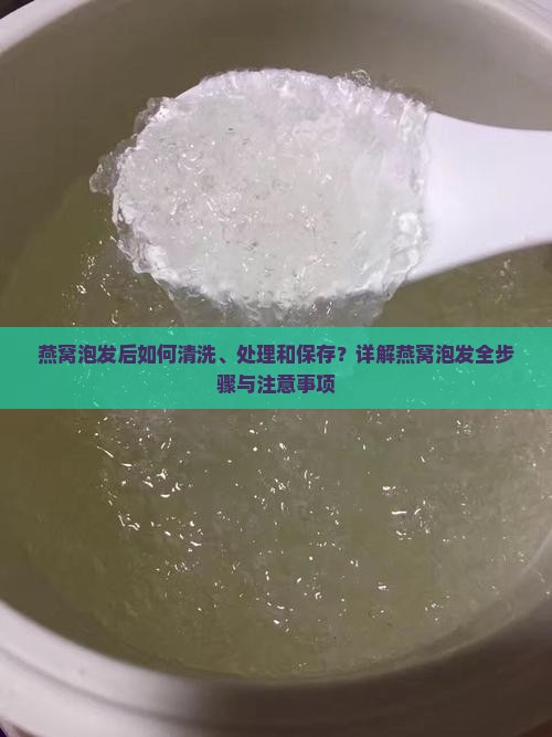 燕窝泡发后如何清洗、处理和保存？详解燕窝泡发全步骤与注意事项