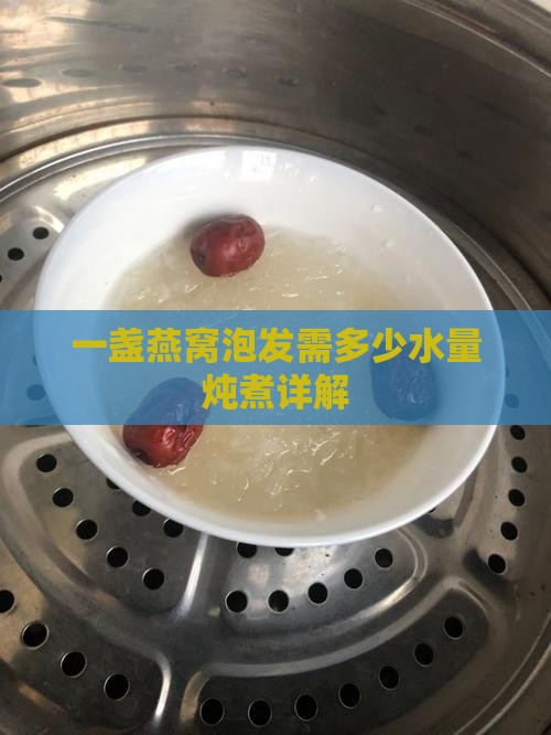 一盏燕窝泡发需多少水量炖煮详解