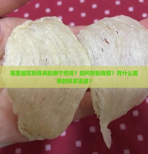 哪里能买到保真的南宁燕窝？如何辨别真假？有什么推荐的购买渠道？