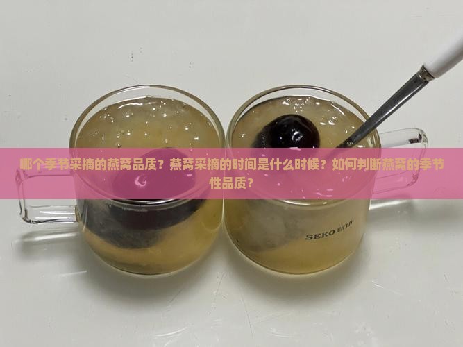 哪个季节采摘的燕窝品质？燕窝采摘的时间是什么时候？如何判断燕窝的季节性品质？