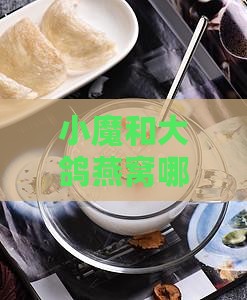 小魔和大鸽燕窝哪个好：全方位对比评测