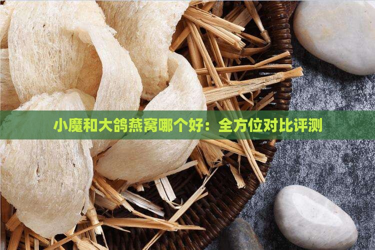 小魔和大鸽燕窝哪个好：全方位对比评测