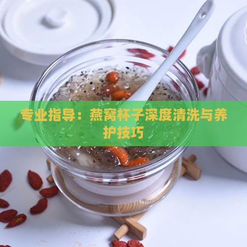 专业指导：燕窝杯子深度清洗与养护技巧