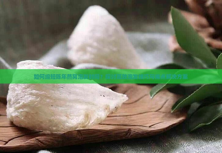 如何缩短陈年燕窝泡发时间？探讨高效泡发技巧与痛点解决方案