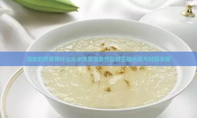 泡发的燕窝用什么水冲洗及泡发燕窝的正确水质与时间掌握