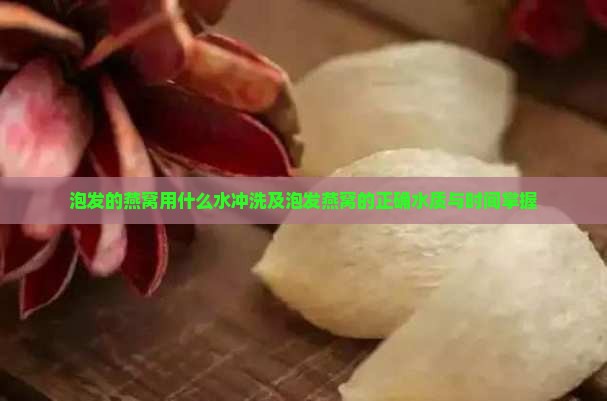 泡发的燕窝用什么水冲洗及泡发燕窝的正确水质与时间掌握