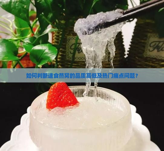 如何判断速食燕窝的品质高低及热门痛点问题？
