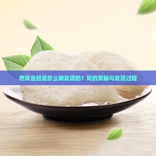燕窝鱼翅是怎么被发现的？窝的奥秘与发现过程