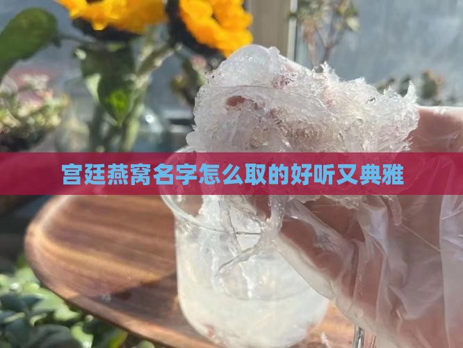 宫廷燕窝名字怎么取的好听又典雅