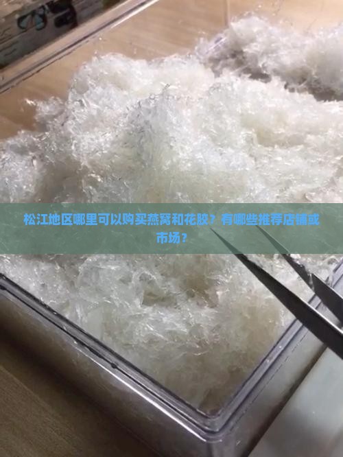 松江地区哪里可以购买燕窝和花胶？有哪些推荐店铺或市场？