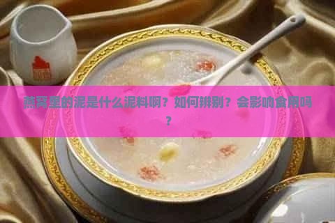 燕窝里的泥是什么泥料啊？如何辨别？会影响食用吗？