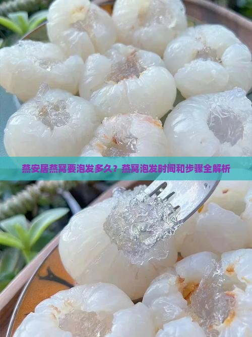 燕安居燕窝要泡发多久？燕窝泡发时间和步骤全解析