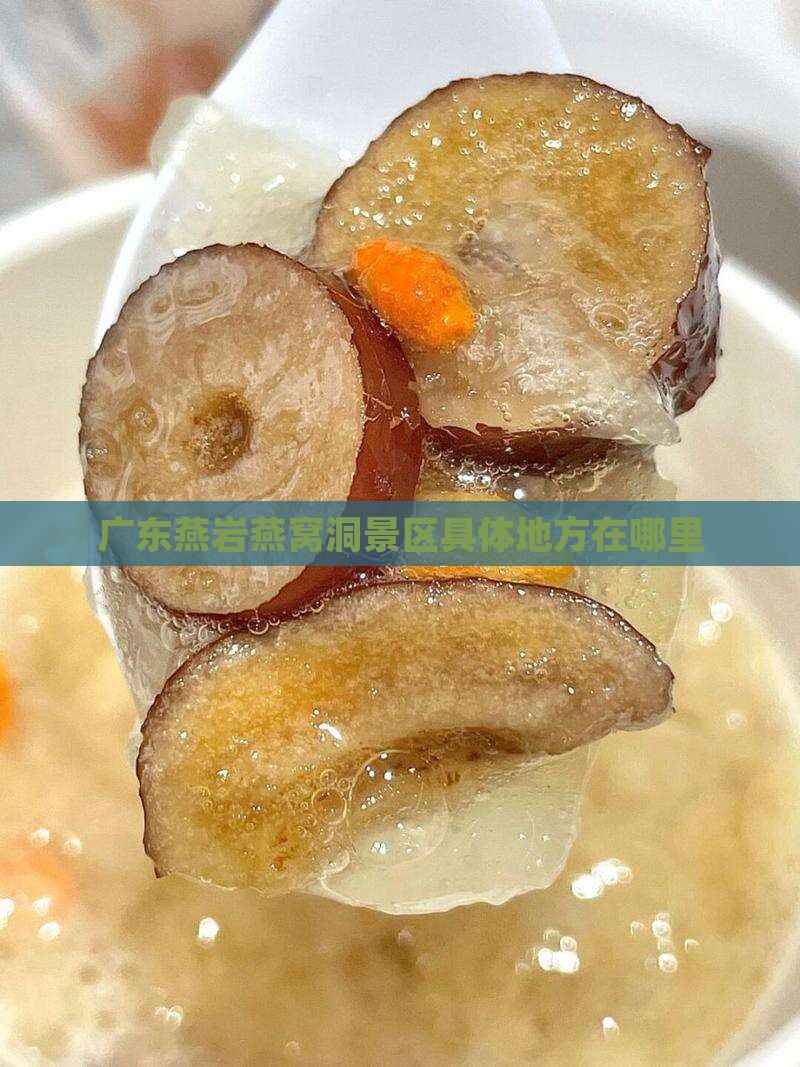 广东燕岩燕窝洞景区具体地方在哪里