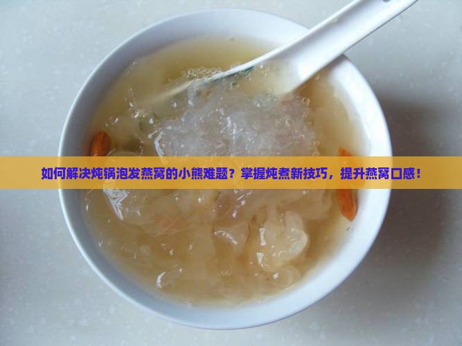 如何解决炖锅泡发燕窝的小熊难题？掌握炖煮新技巧，提升燕窝口感！