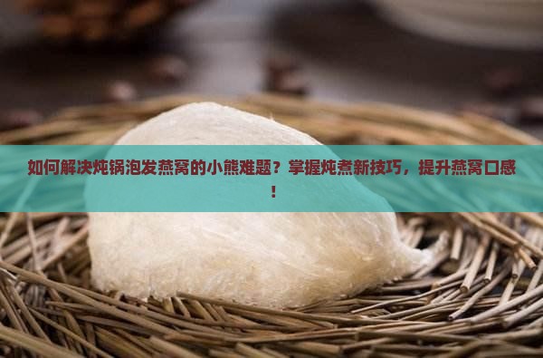 如何解决炖锅泡发燕窝的小熊难题？掌握炖煮新技巧，提升燕窝口感！