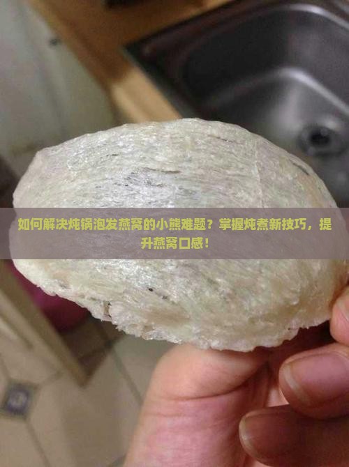 如何解决炖锅泡发燕窝的小熊难题？掌握炖煮新技巧，提升燕窝口感！