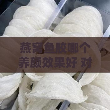 燕窝鱼胶哪个养颜效果好 对皮肤更佳