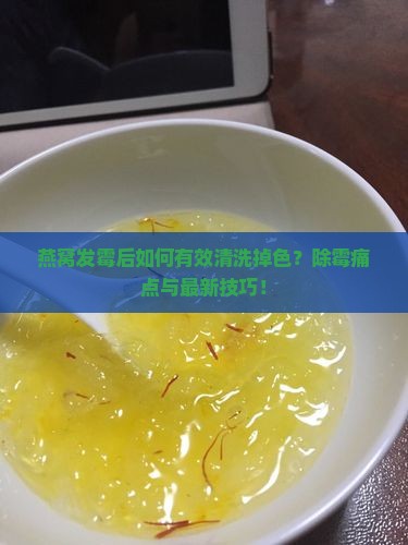 燕窝发霉后如何有效清洗掉色？除霉痛点与最新技巧！