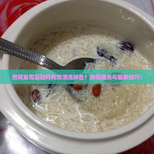 燕窝发霉后如何有效清洗掉色？除霉痛点与最新技巧！