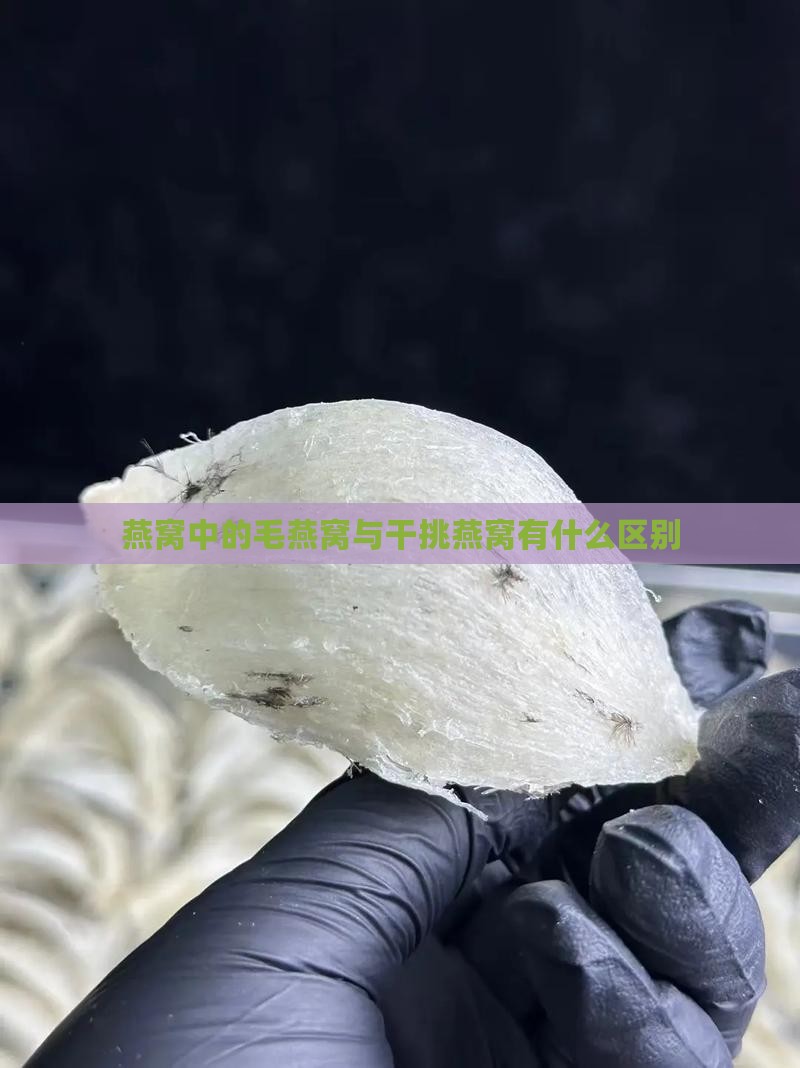 燕窝中的毛燕窝与干挑燕窝有什么区别
