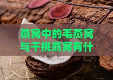 燕窝中的毛燕窝与干挑燕窝有什么区别