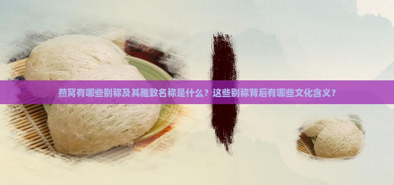 燕窝有哪些别称及其雅致名称是什么？这些别称背后有哪些文化含义？