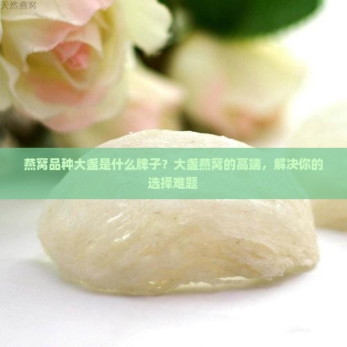 燕窝品种大盏是什么牌子？大盏燕窝的高端，解决你的选择难题