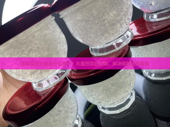 燕窝品种大盏是什么牌子？大盏燕窝的高端，解决你的选择难题