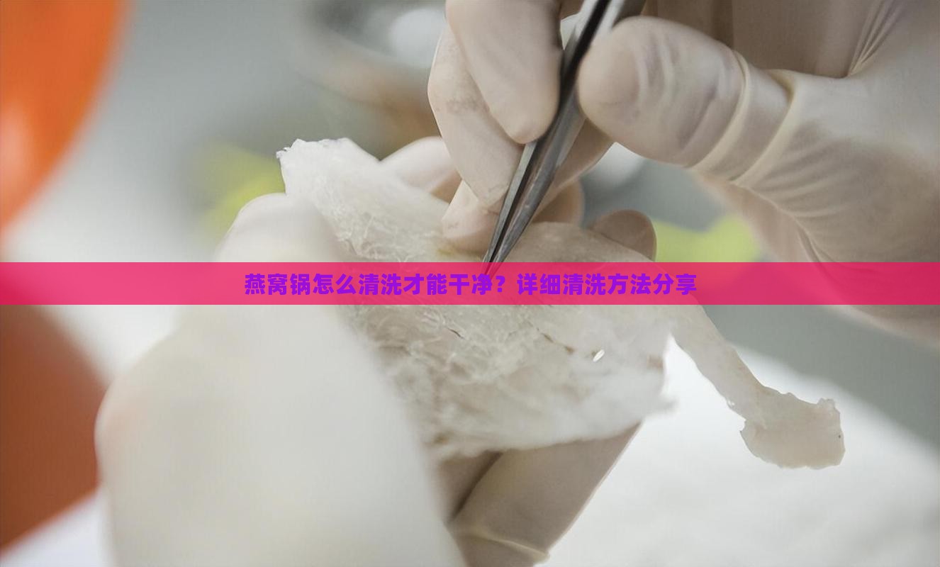 燕窝锅怎么清洗才能干净？详细清洗方法分享