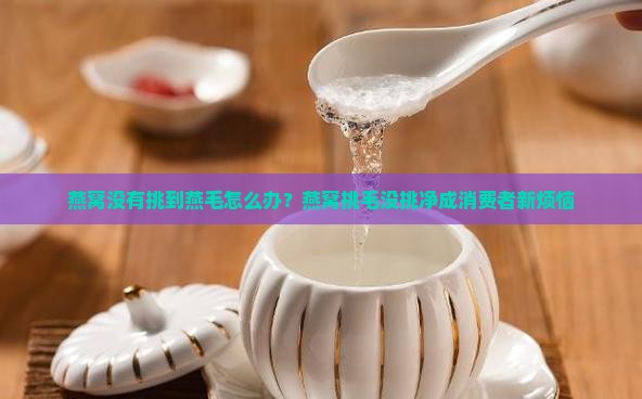 燕窝没有挑到燕毛怎么办？燕窝挑毛没挑净成消费者新烦恼