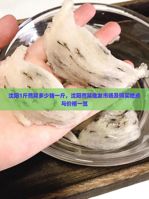 沈阳1斤燕窝多少钱一斤，沈阳燕窝批发市场及购买地点与价格一览