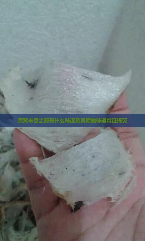 燕窝未煮之前有什么味道及其原始味道特征探究