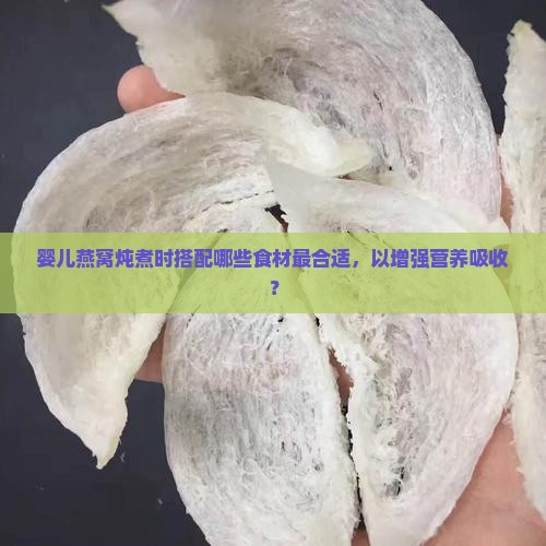 婴儿燕窝炖煮时搭配哪些食材最合适，以增强营养吸收？