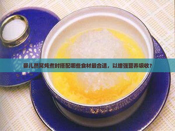 婴儿燕窝炖煮时搭配哪些食材最合适，以增强营养吸收？