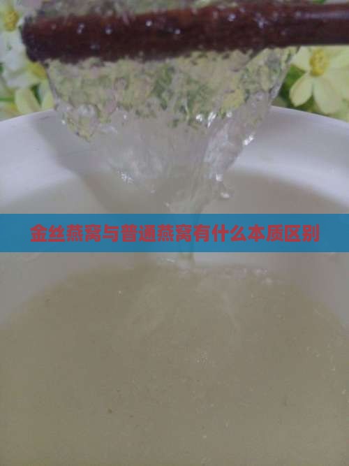 金丝燕窝与普通燕窝有什么本质区别