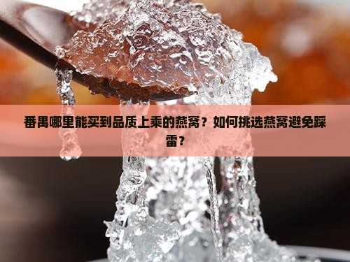 番禺哪里能买到品质上乘的燕窝？如何挑选燕窝避免踩雷？