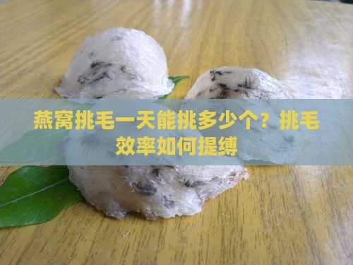 燕窝挑毛一天能挑多少个？挑毛效率如何提缚
